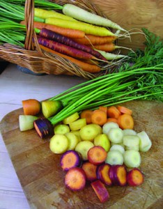 Harlequin Mix Rainbow Carrots. Photo Courtesy of Renee's Garden