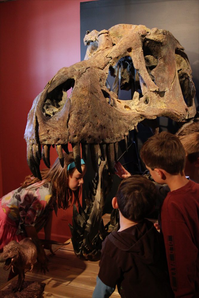 Morrison Natural History Museum - Colorado Country Life Magazine