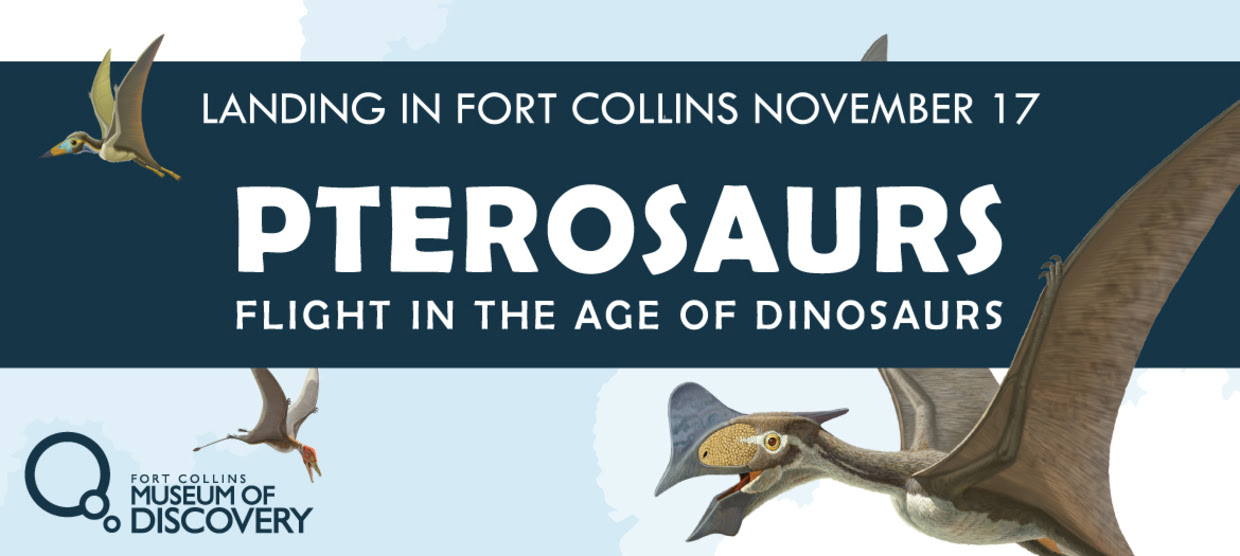 pterosaurs flight in the age of dinosaurs