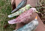 colorful ceramic birds