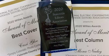 CCL's Willies Awards earned in 2020