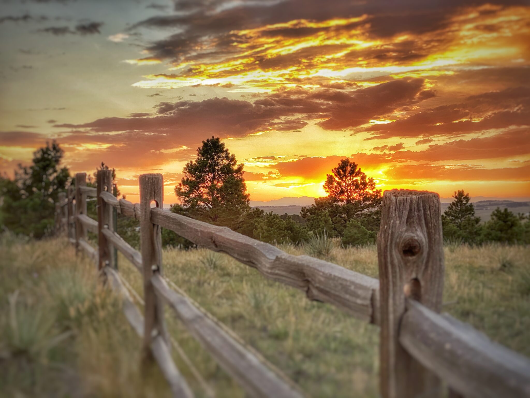 2023 Photo Contest Winners - Colorado Country Life Magazine