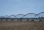 Electric Agriculture