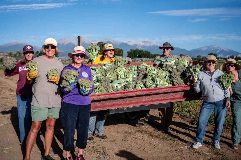 A group of people stand in a field holding harvested broccoli, with a cart full of broccoli and mountains visible in the background.