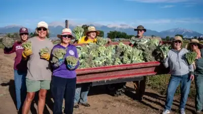 Harvesting Goodness