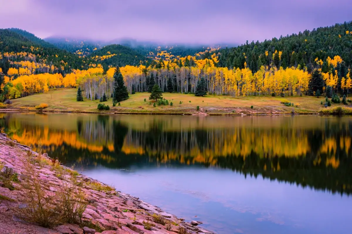 A calm lake reflects vibrant yellow and green autumn trees, grassy hills, and forested mountains under a cloudy purple sky. The rocky shore is visible in the foreground.