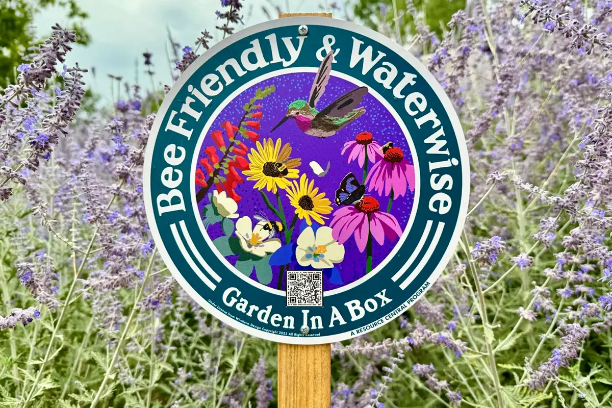 Garden In A Box