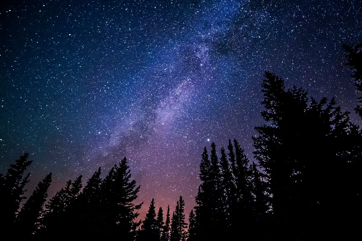 Silhouetted pine trees beneath a vibrant night sky filled with stars and the glowing Milky Way; a faint purple and blue gradient appears near the horizon.