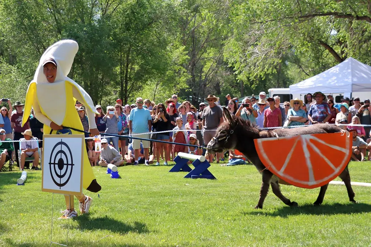 A person dressed in a banana costume leads a donkey wearing an orange slice costume at an outdoor event, with a crowd watching and trees in the background.