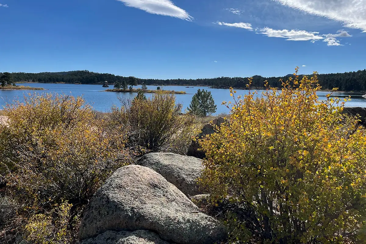 Large rocks and yellowish shrubs in the foreground, with a calm blue lake, distant trees, and a clear, sunny sky with a few clouds in the background.