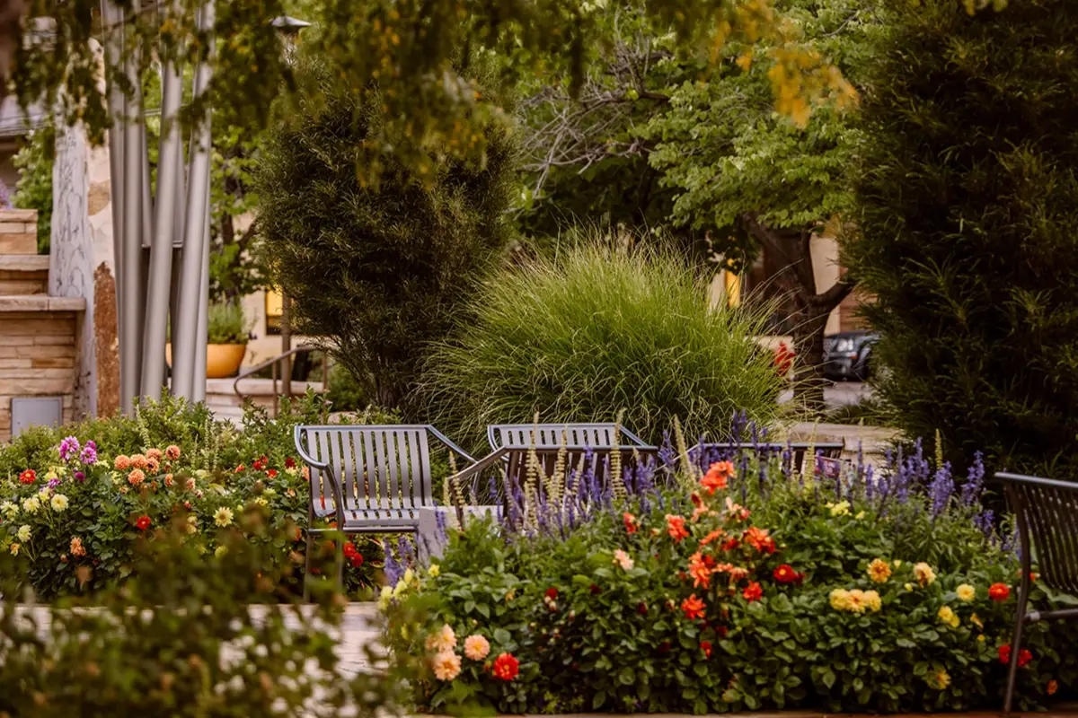 Turn Your Backyard Into a Pollinator Garden This Summer Metal benches surrounded by lush green bushes, blooming flowers in various colors, and tall trees in a peaceful outdoor garden setting.