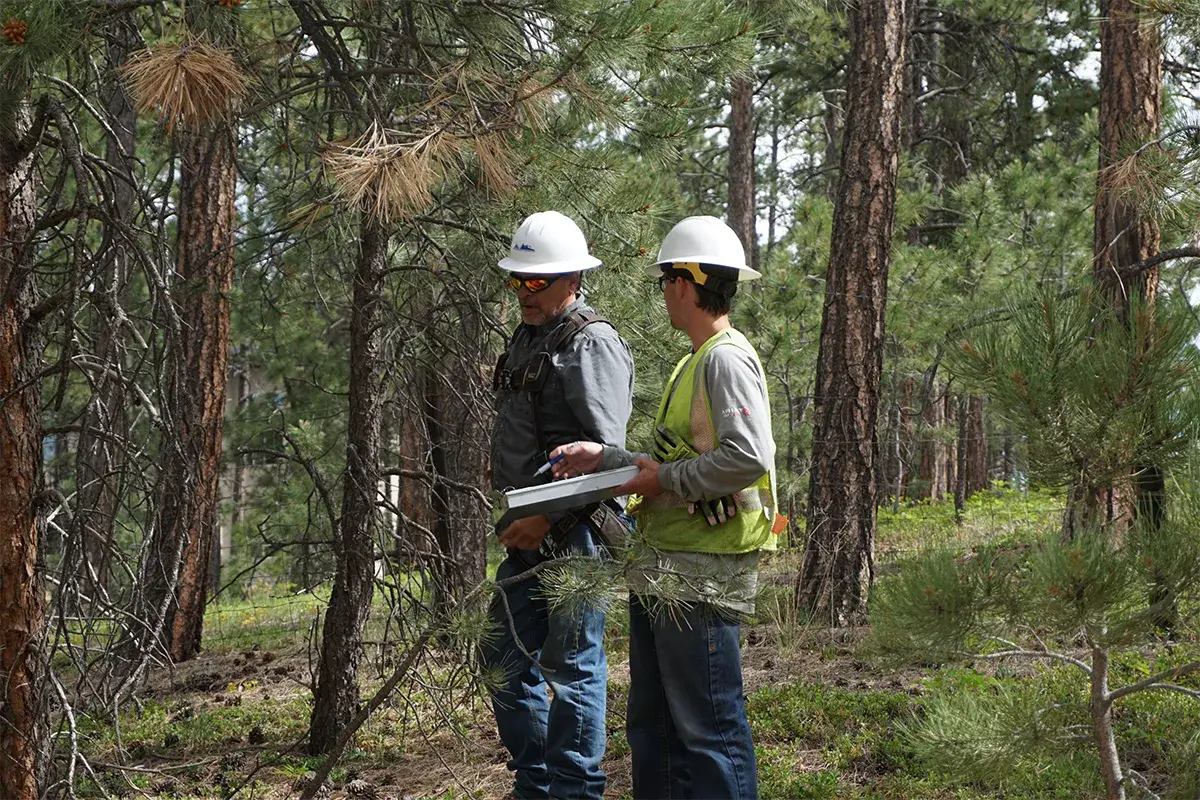 Co-ops Lead on Wildfire Mitigation Policy