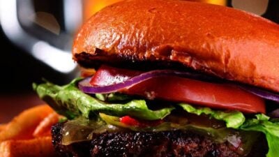 Bison Burger