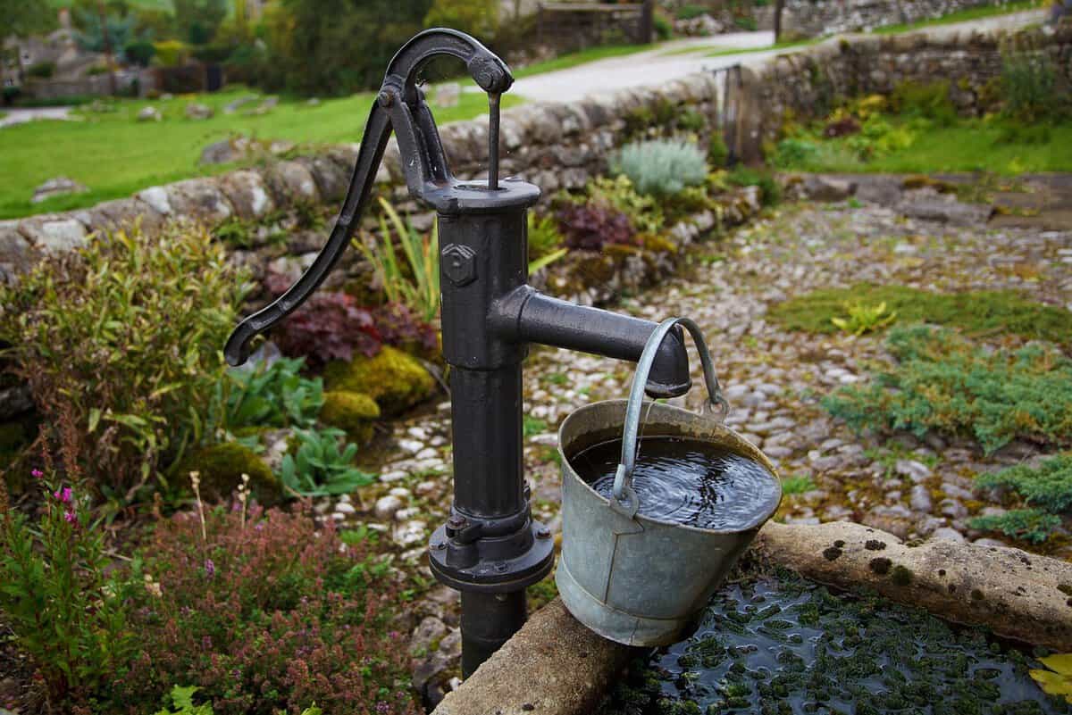 A vintage hand water pump with a curved handle fills a metal bucket with water. The pump is situated on a cobblestone path surrounded by greenery.