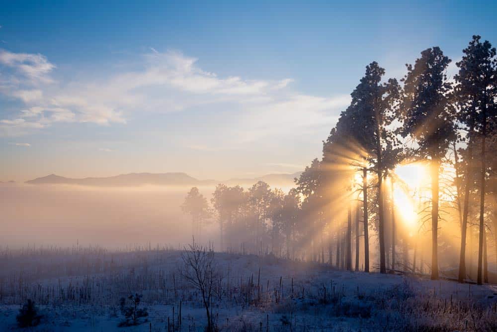 Sunlight streams through tall trees, casting rays across a foggy landscape with distant mountains under a blue sky.
