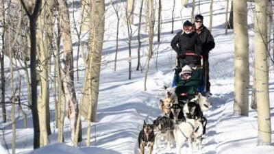 Dog Sled Through Colorado