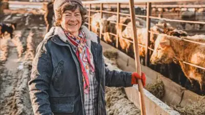 Life on a Colorado Cattle Ranch