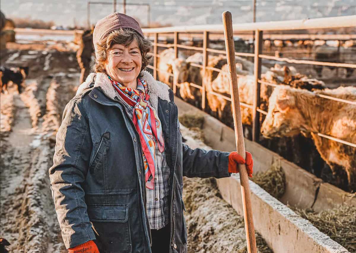 A person in a winter coat and hat holds a stick while standing beside cows in a snowy farm setting.