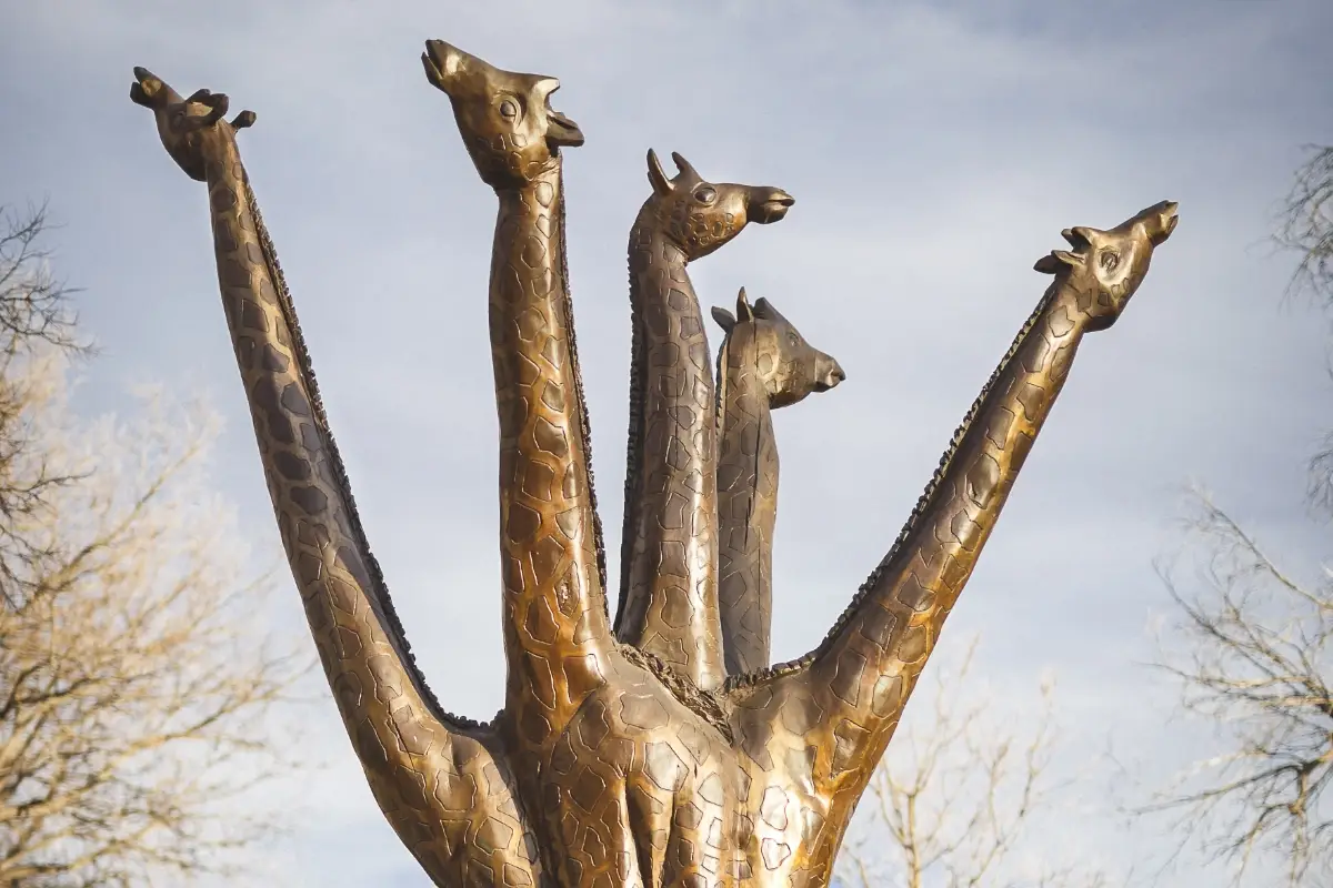 A bronze sculpture featuring five giraffe necks and heads rising upward from a single base, set against a clear sky with bare tree branches visible in the background.