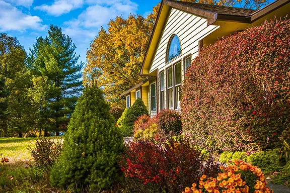 Single-story house with yellow siding surrounded by colorful autumn shrubs, green bushes, and trees under a partly cloudy sky.