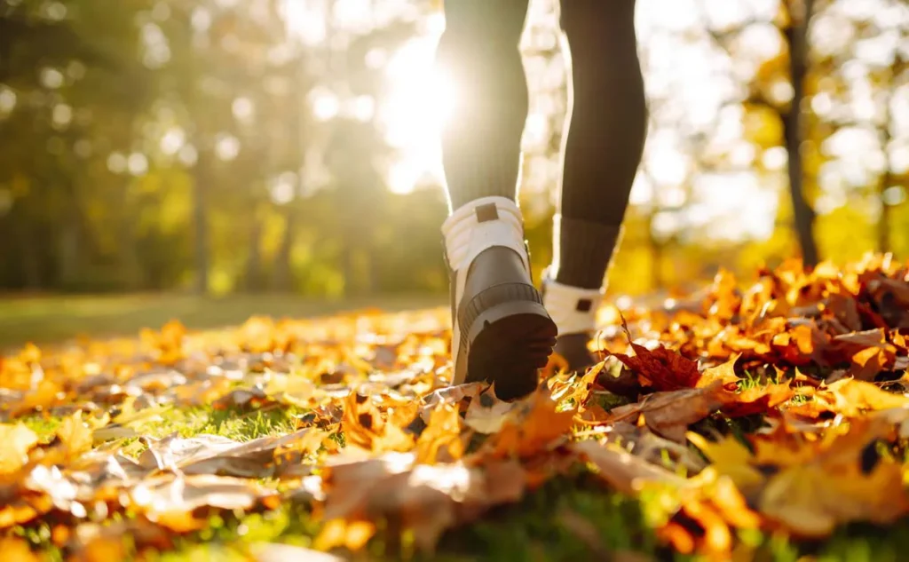 A person walks through fallen autumn leaves on grass, with sunlight shining through trees in the background.