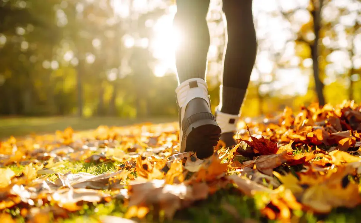 A person walks through fallen autumn leaves on grass, with sunlight shining through trees in the background.