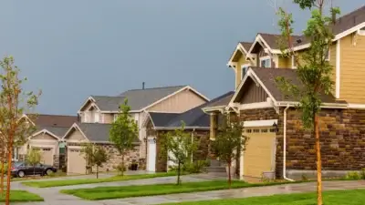 Landscaping to Save Energy