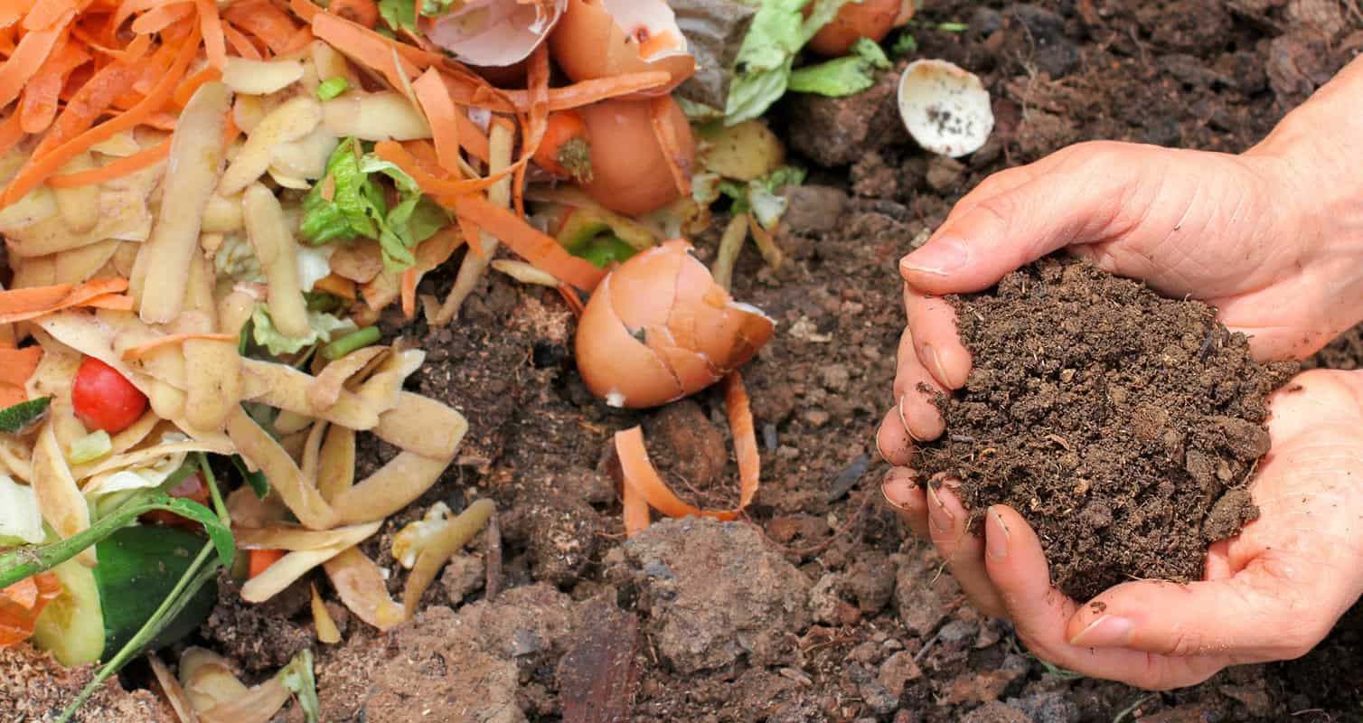 Hands holding rich compost above a pile of food scraps including peels, eggshells, and vegetable matter in soil.