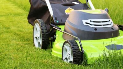 FOUR STEPS TO GET YOUR YARD READY FOR SPRING