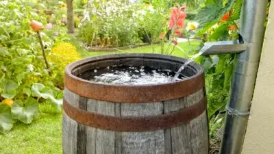 It’s Not Just a Drop in the Bucket