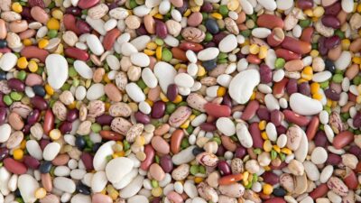 Beans are Booming in Colorado Beans are Booming in Colorado