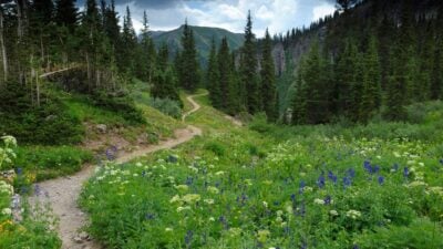 HAPPY HIKING: VOLUNTEER TO MAINTAIN TRAILS