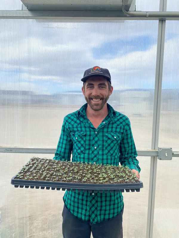 A man in a green plaid shirt and cap holds a tray of young plant seedlings inside a greenhouse with translucent walls.