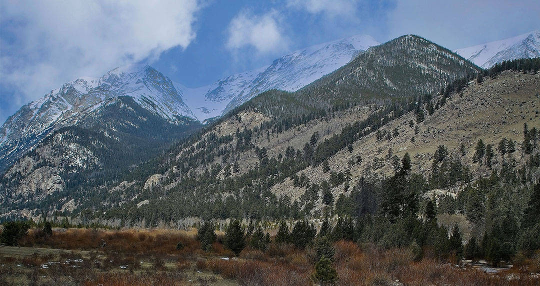 Mountain range with snow-capped peaks and forested slopes under a partly cloudy sky. Vegetation in the foreground.