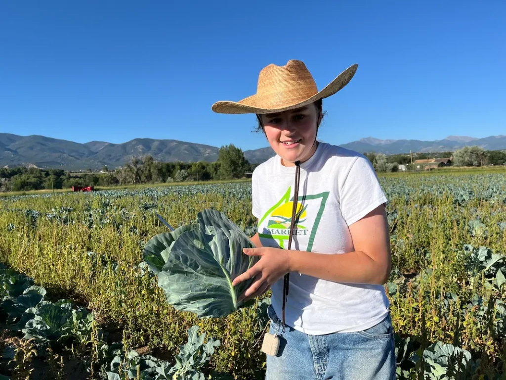 A person in a straw hat and white t-shirt stands in a field holding a large leafy vegetable on a sunny day with mountains in the background.