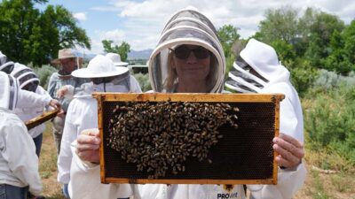 Learning the Waggle Dance and More at Bee College