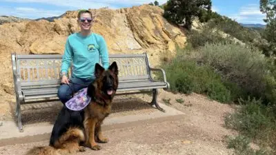 Stories of Dogs in Service