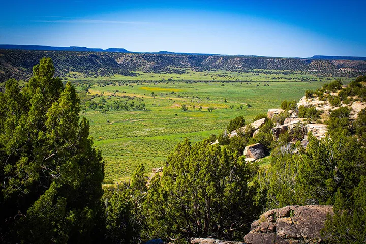 View of a green valley with scattered trees and shrubs, surrounded by rocky cliffs and a clear blue sky in the background.