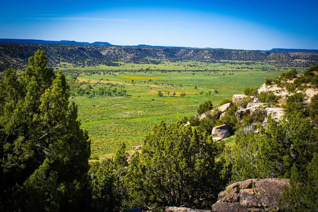 A wide, green valley with scattered trees and shrubs is bordered by rocky hills under a clear blue sky.