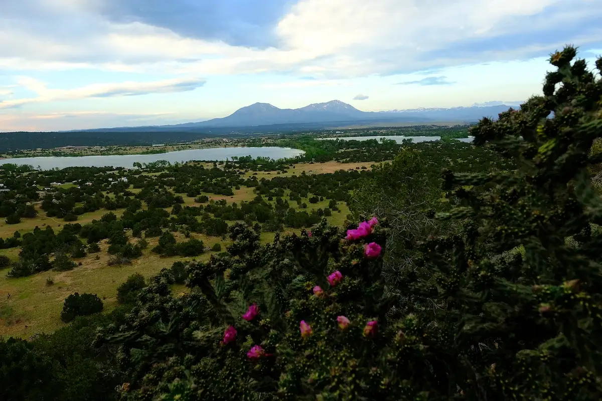 Landscape with distant mountains, two lakes, and a field of greenery. In the foreground, a cactus with pink flowers. Cloudy sky above.