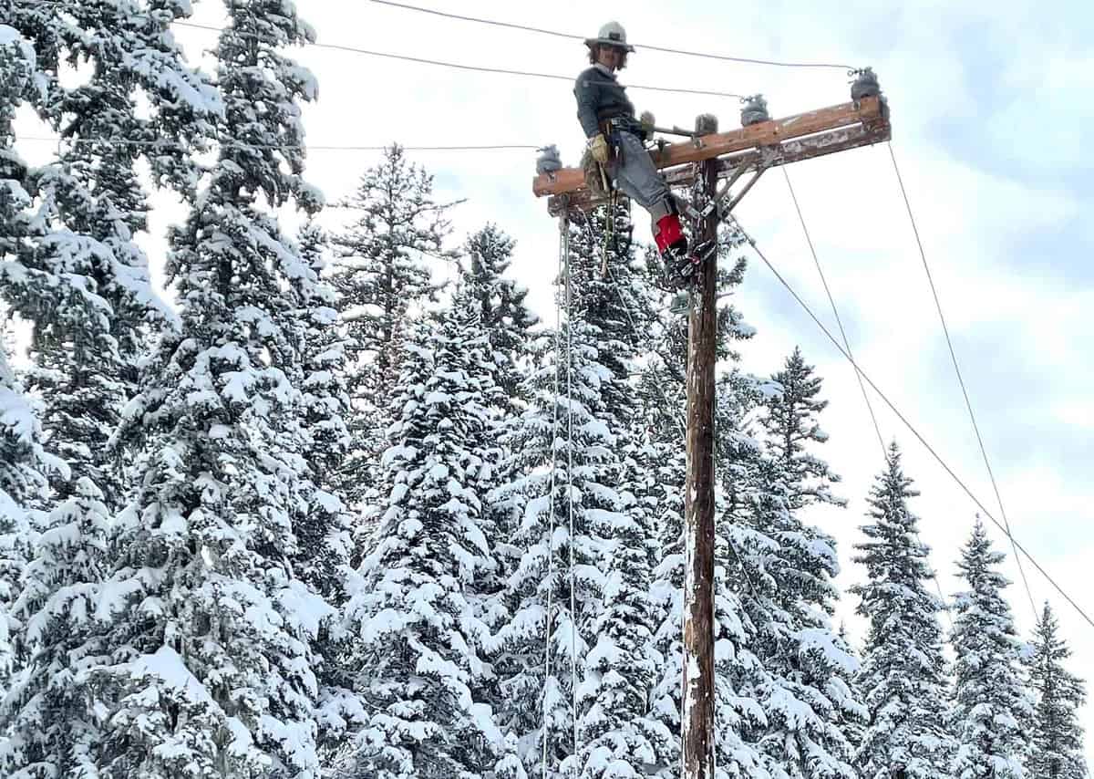 Worker in safety gear atop a snow-covered utility pole, surrounded by snow-laden pine trees.