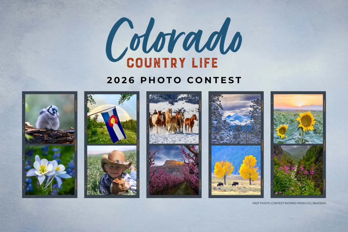 A collage of nine nature and rural photos representing Colorado, including wildlife, landscapes, flowers, and people, with text reading "Colorado Country Life 2026 Photo Contest.