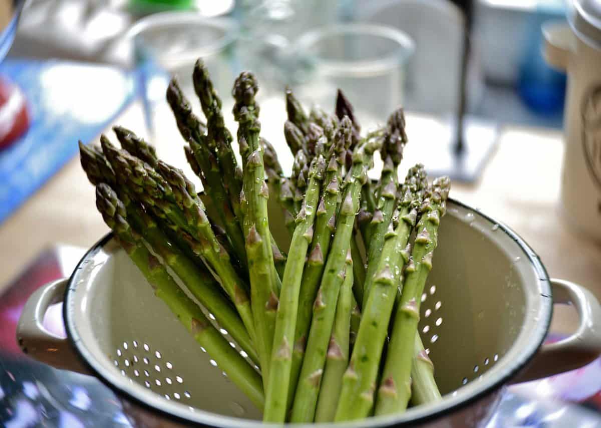 A bunch of fresh asparagus spears resting in a white colander on a kitchen counter.
