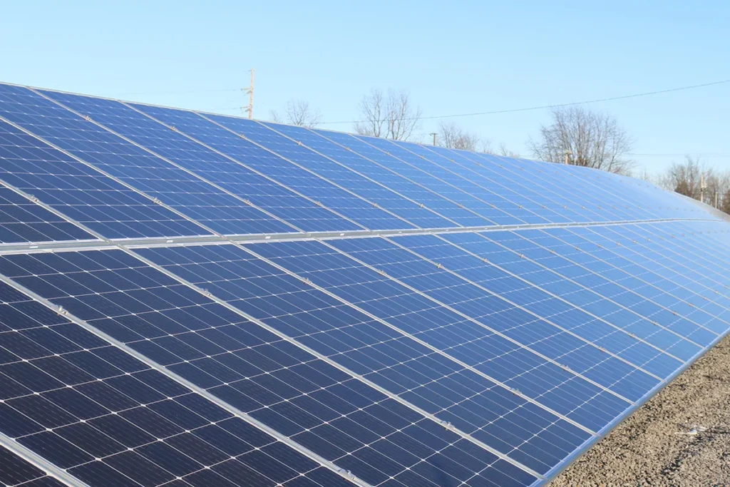 Rows of solar panels are installed outdoors on a clear day, with leafless trees and utility poles visible in the background.