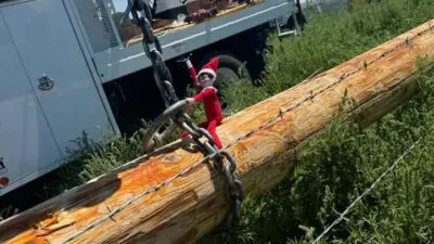 Elf toy on a wooden utility pole being lifted by a crane near a truck in a grassy field.
