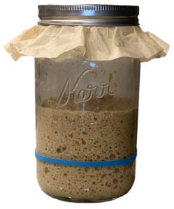 sourdough starter